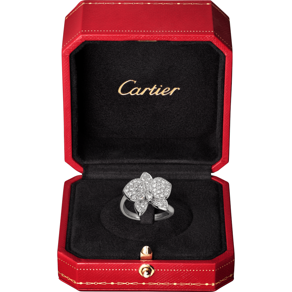 Caresse d’Orchidées par Cartier戒指 18K白金