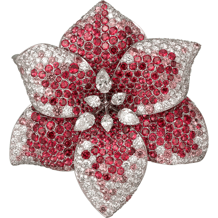 Caresse d’Orchidées par Cartier项链 18K白金