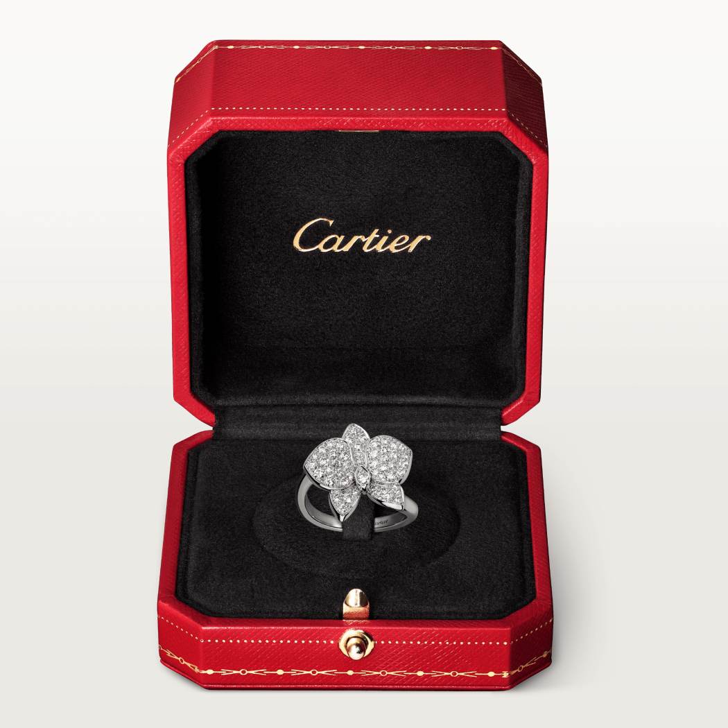 Caresse d’Orchidées par Cartier戒指 18K白金