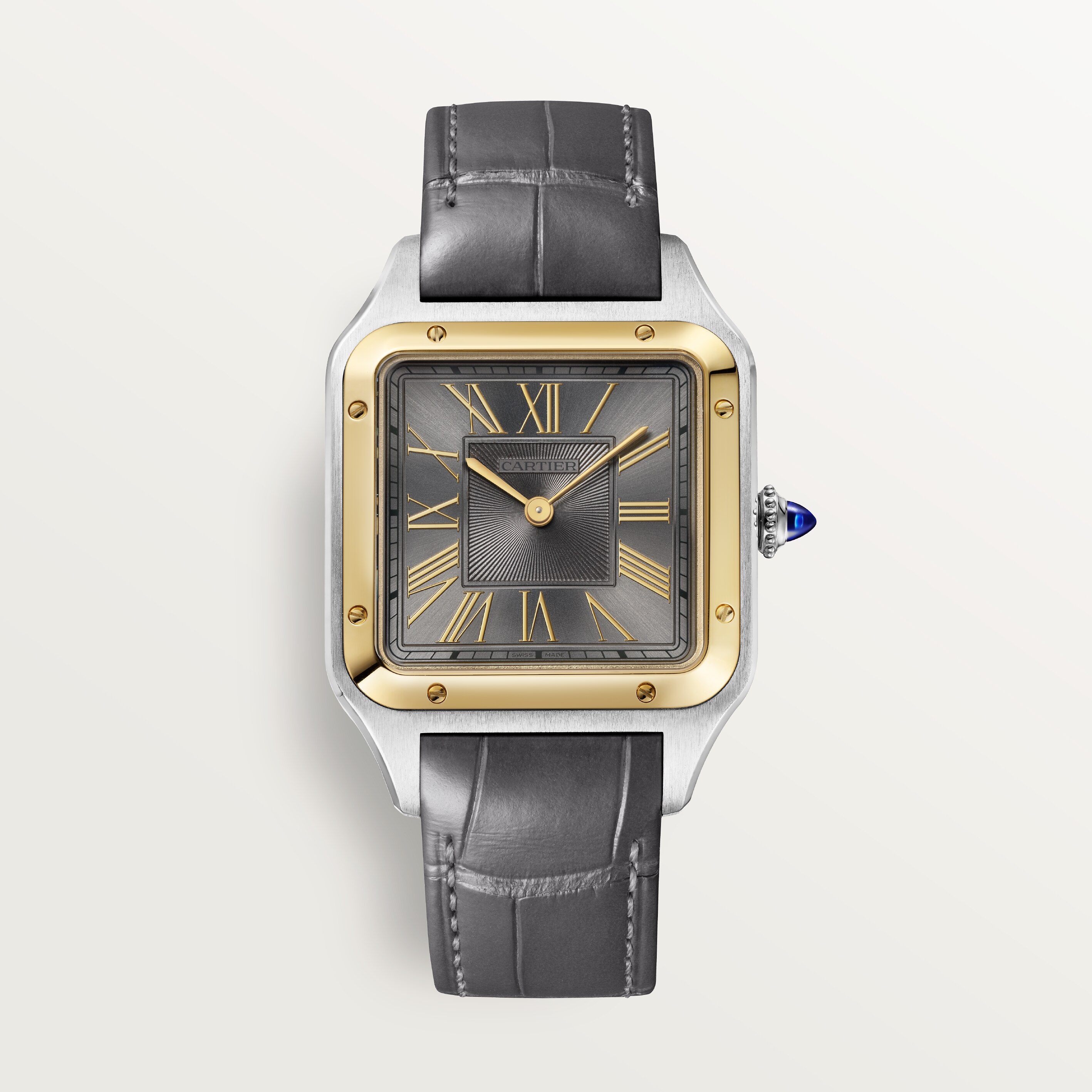 Cartier CRW2SA0036