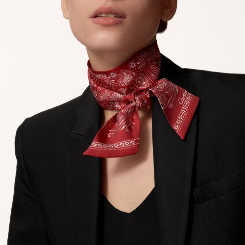 Double C Paisley Bandeau细丝巾