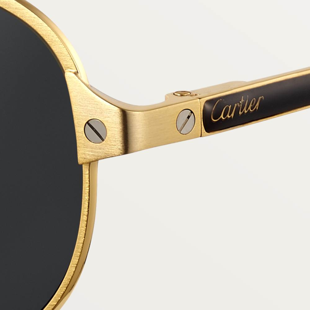 Santos de Cartier太阳眼镜