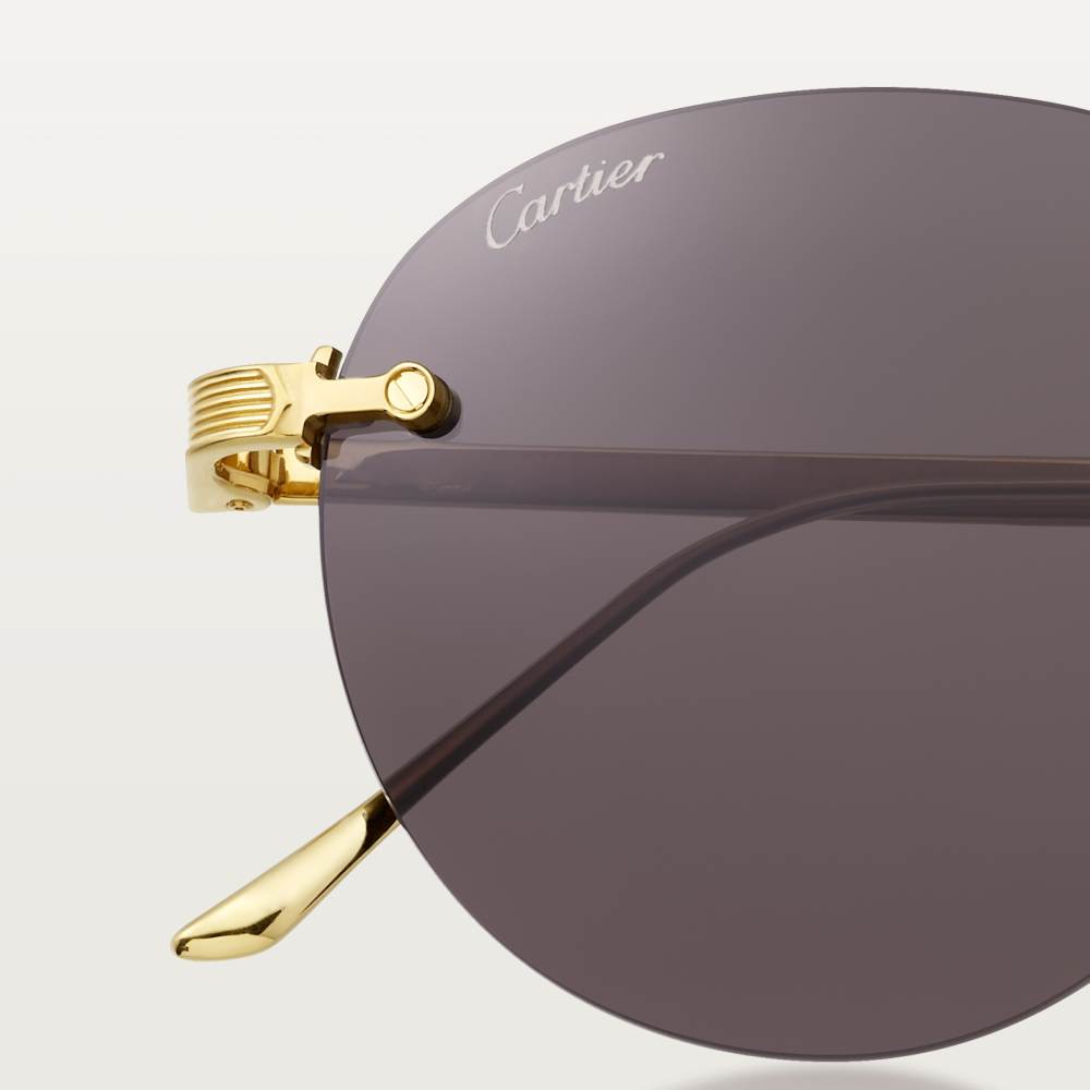 Signature C de Cartier太阳眼镜
