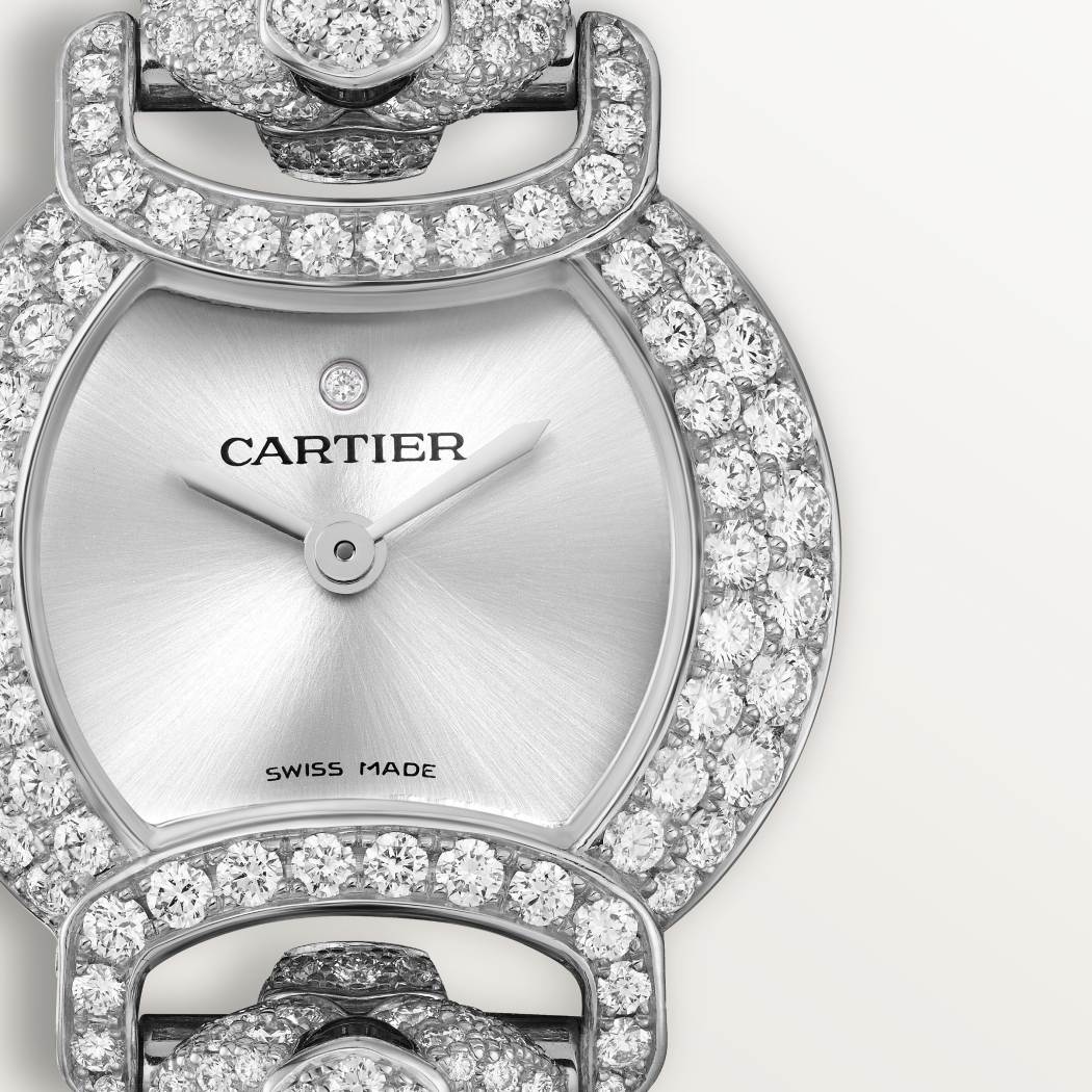 La Panthère de Cartier 腕表 标准 18K镀铑白金 石英