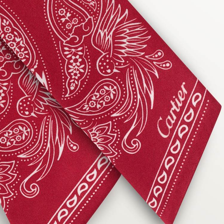 Double C Paisley Bandeau细丝巾