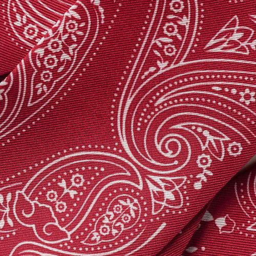 Double C Paisley Bandeau细丝巾