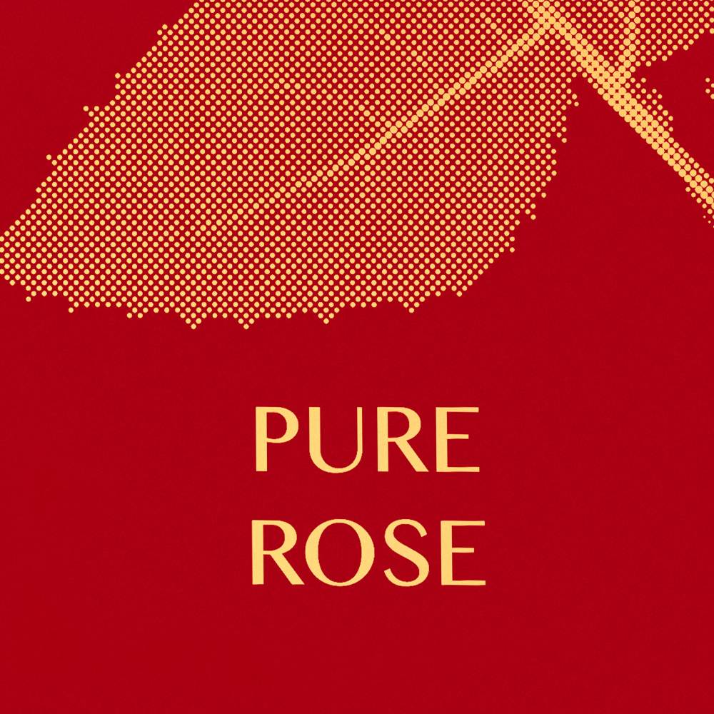 Les Epures de Parfum纯真年代香水系列Pure Rose幽然玫瑰淡香水 