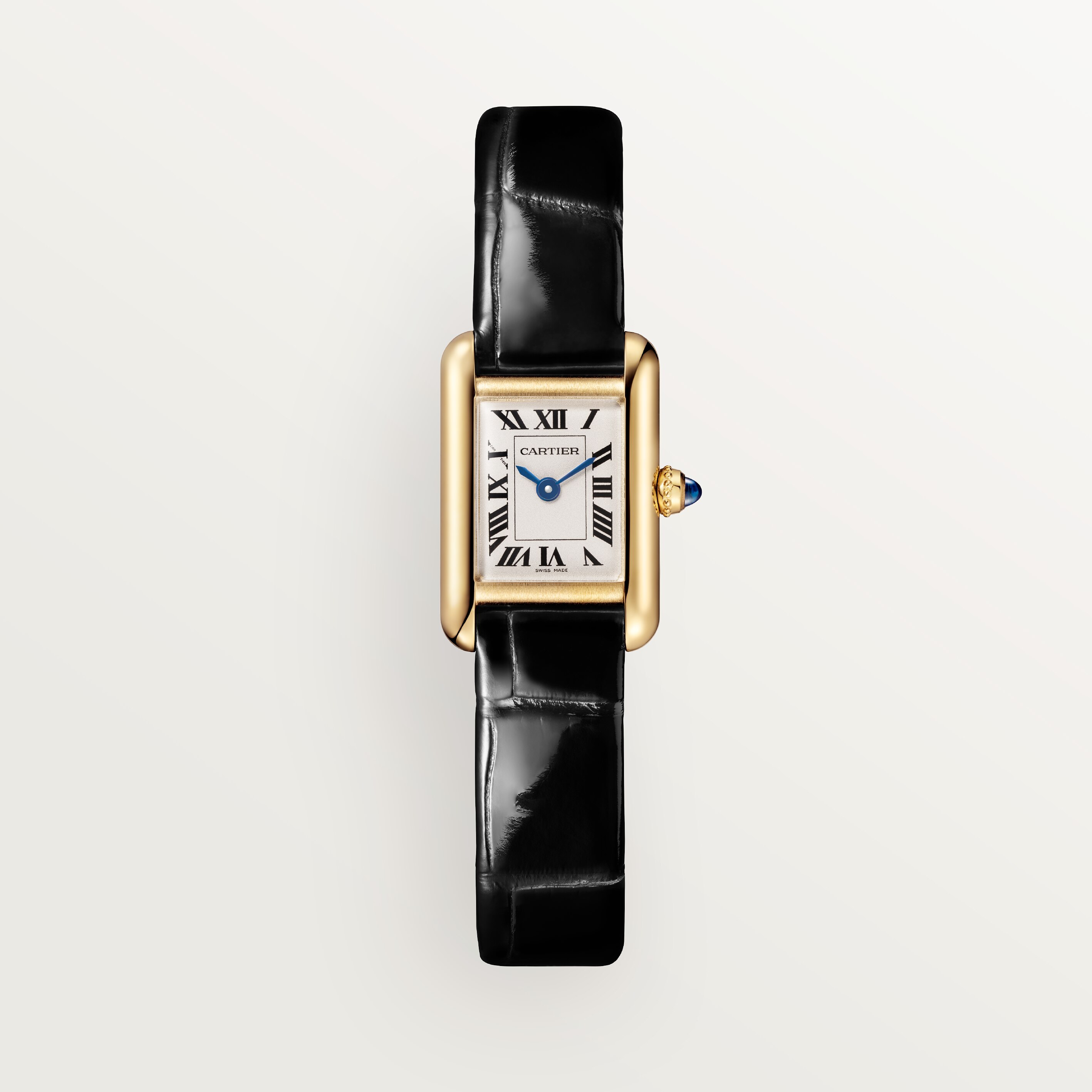 Cartier CRWGTA0352