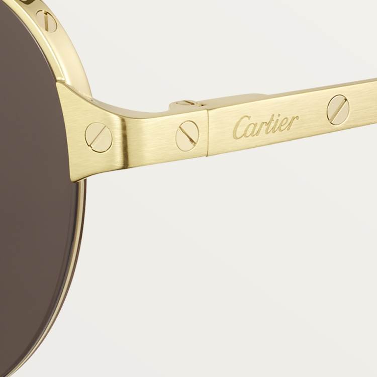 Santos de Cartier太阳眼镜