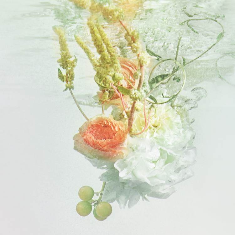 Rivières de Cartier水之寓言系列Allégresse心悦之水