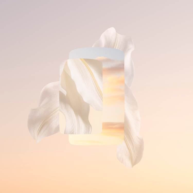 Baiser Volé挚吻女士浓香水
