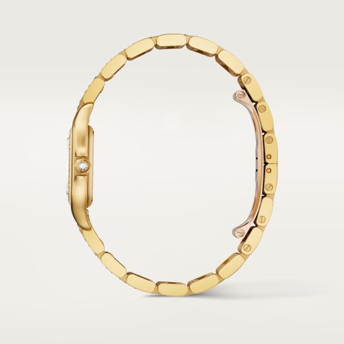 Panthère de Cartier腕表