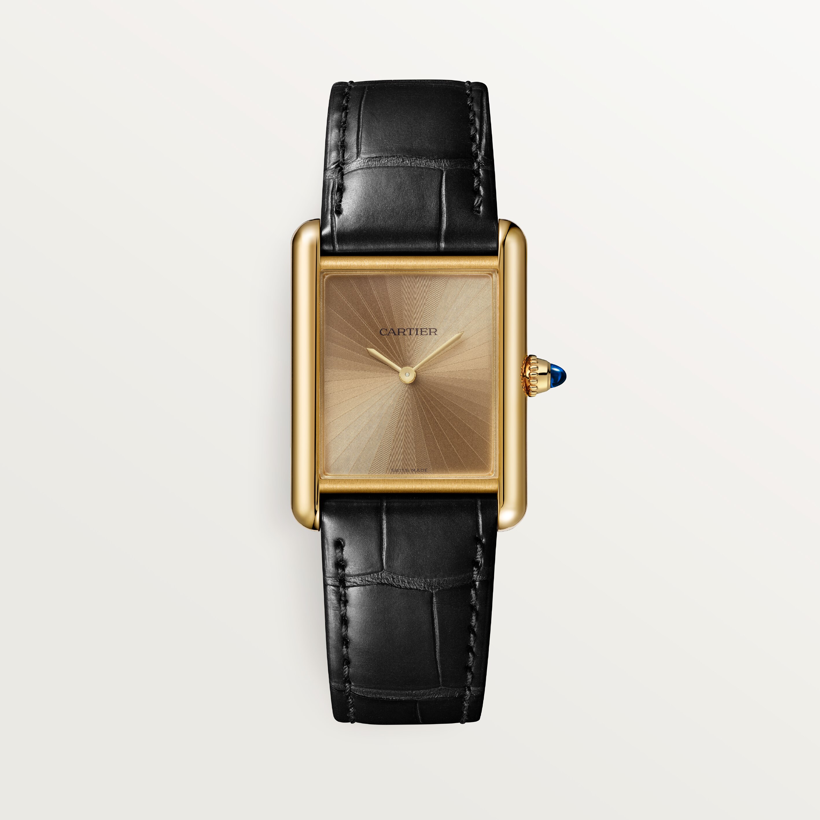 Cartier CRWGTA0211