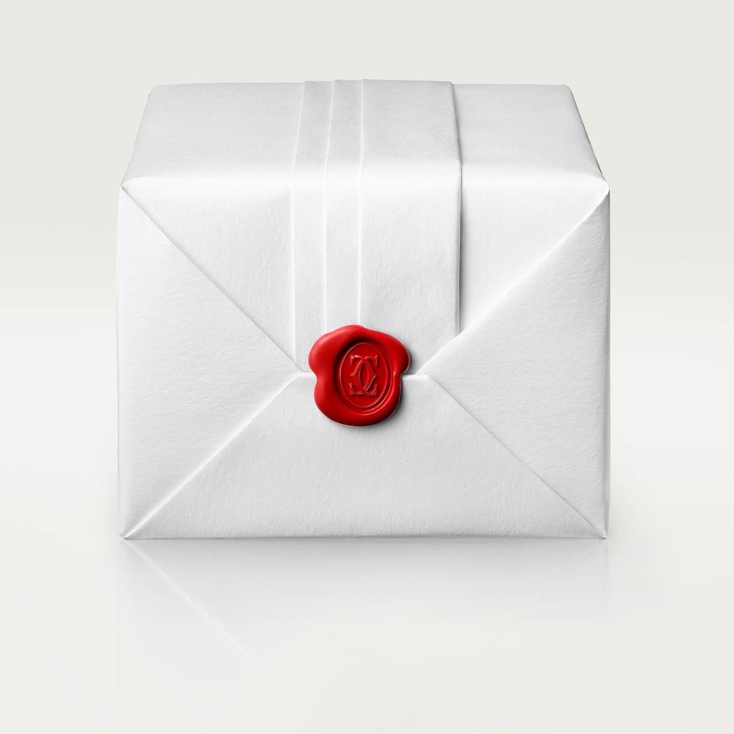 Clash de Cartier圈形耳环，小号款  18K白金