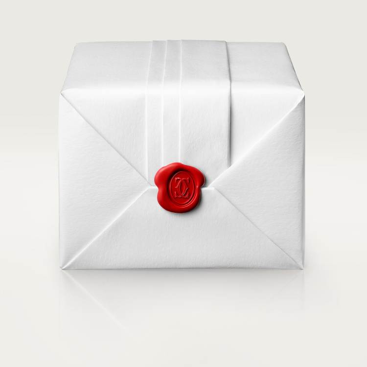 Clash de Cartier圈形耳环，小号款  18K白金