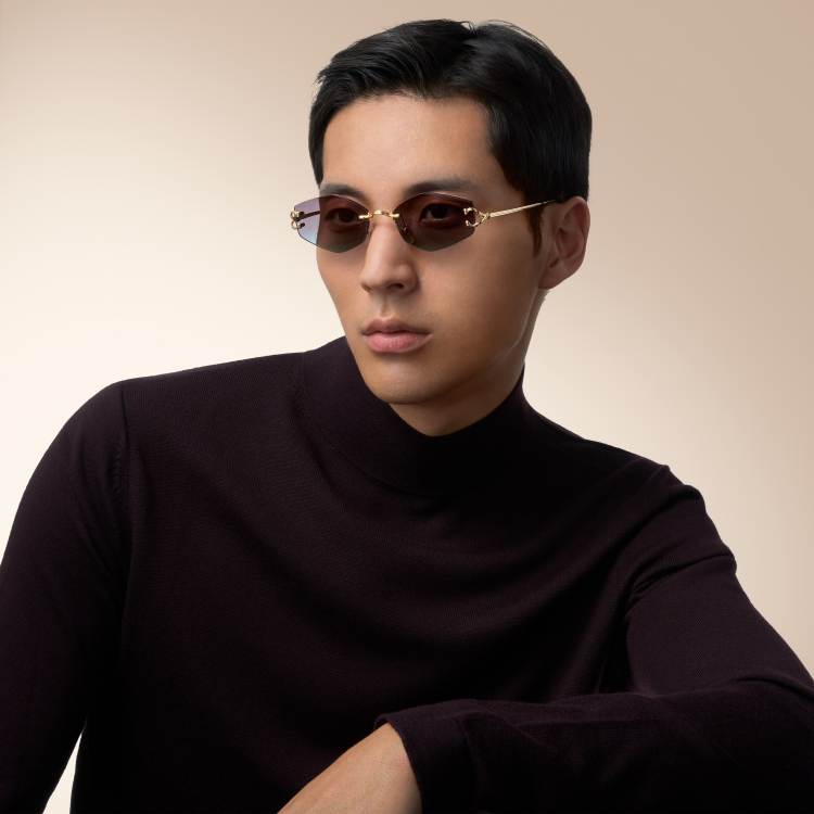 经典C字装饰太阳眼镜