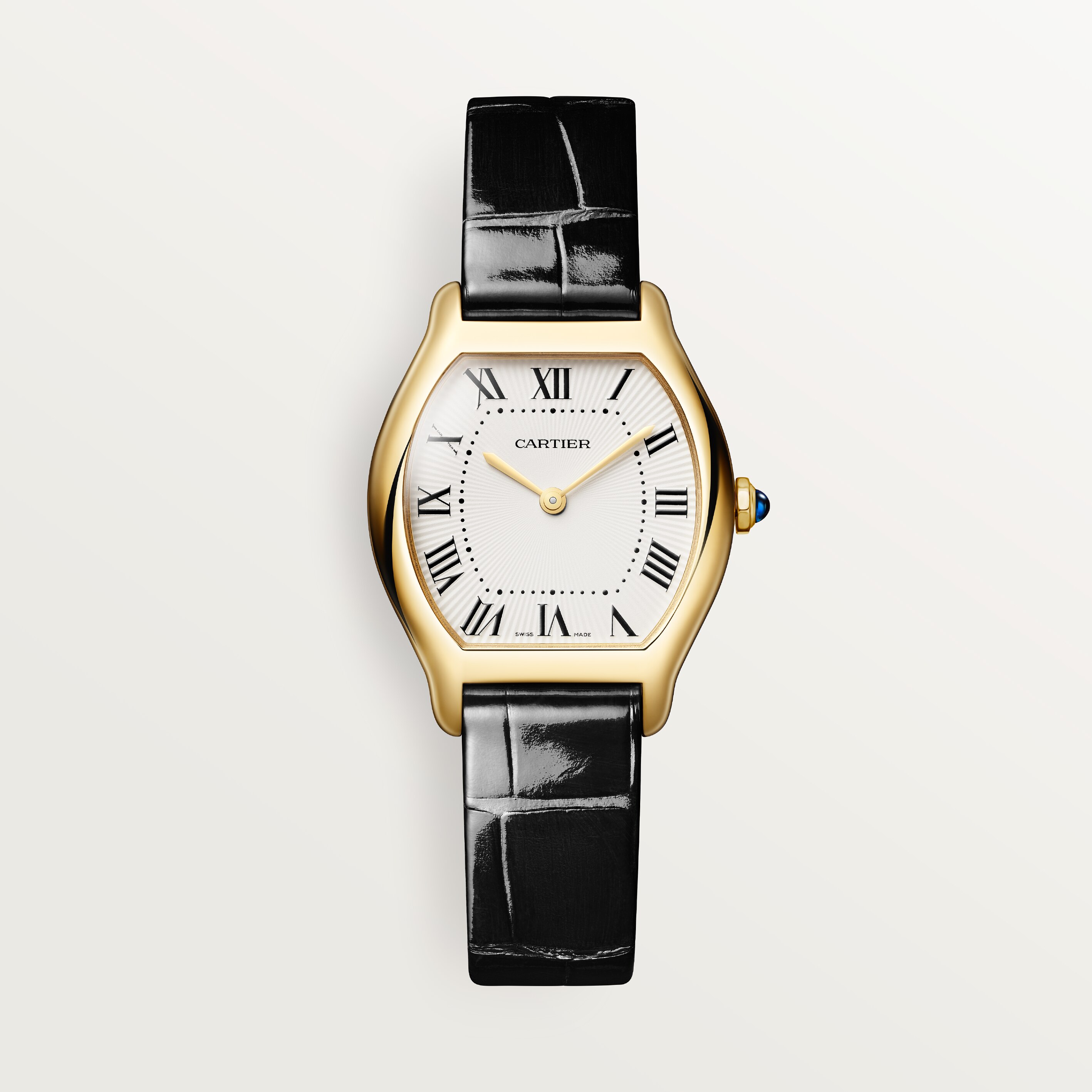 Cartier CRWGTO0015