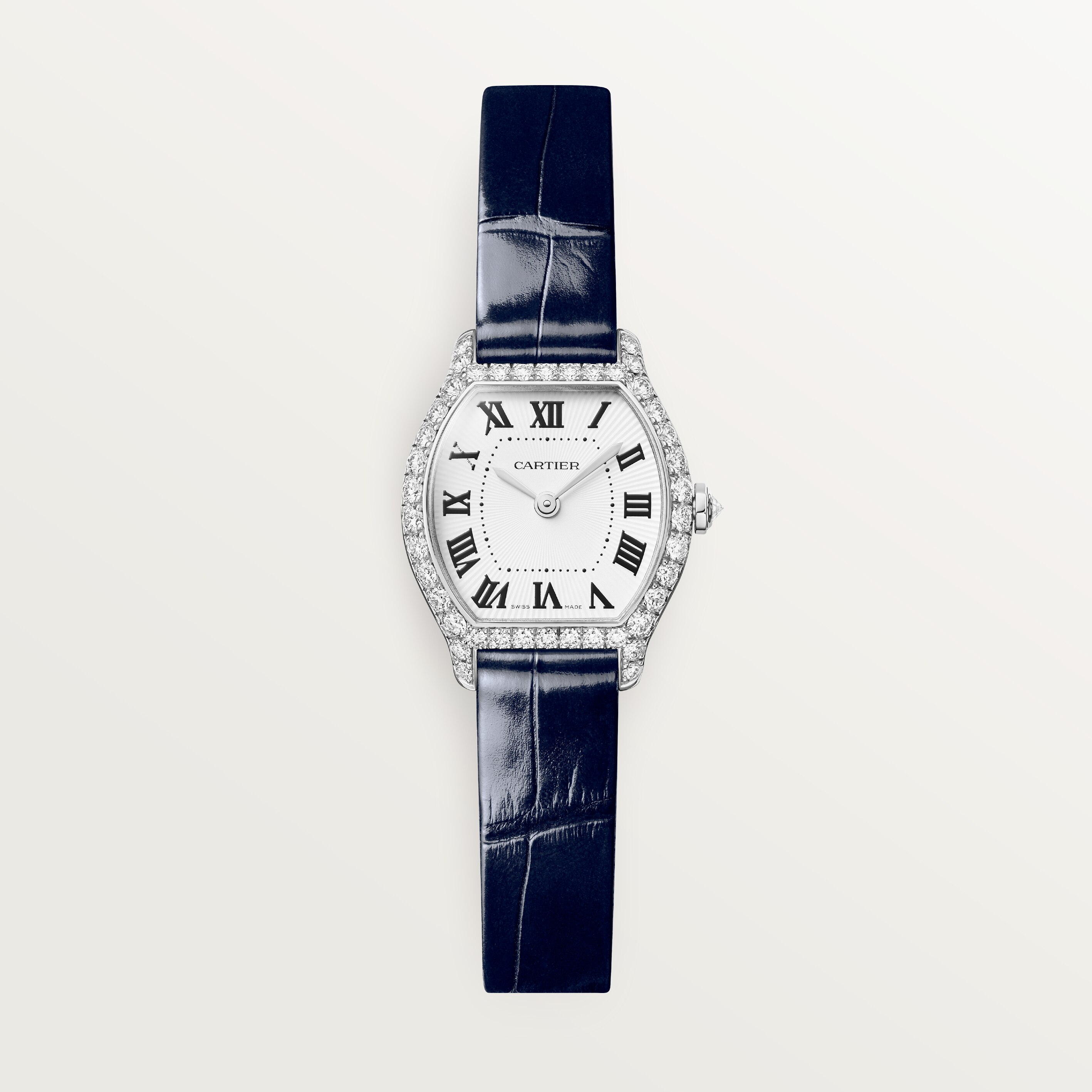 Cartier CRWJTO0013