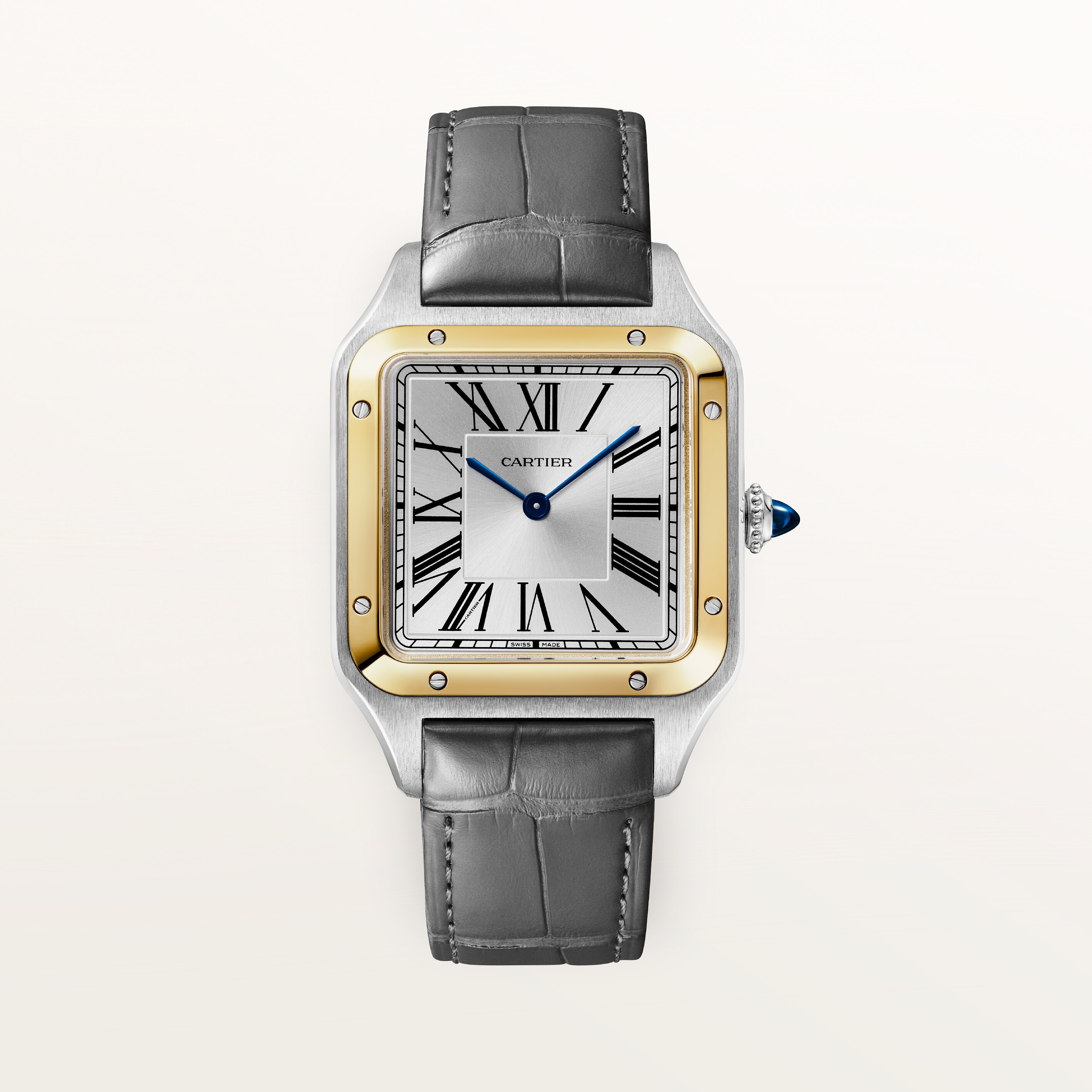 Cartier CRW2SA0046